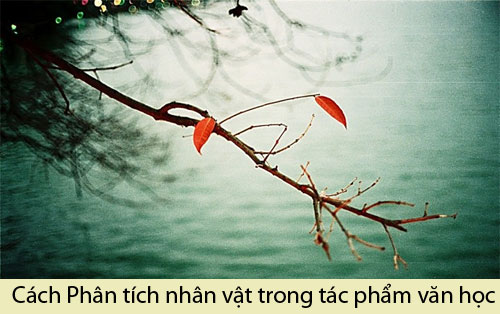 Cach-phan-tich-nhan-vat-trong-tac-pham-van-hoc