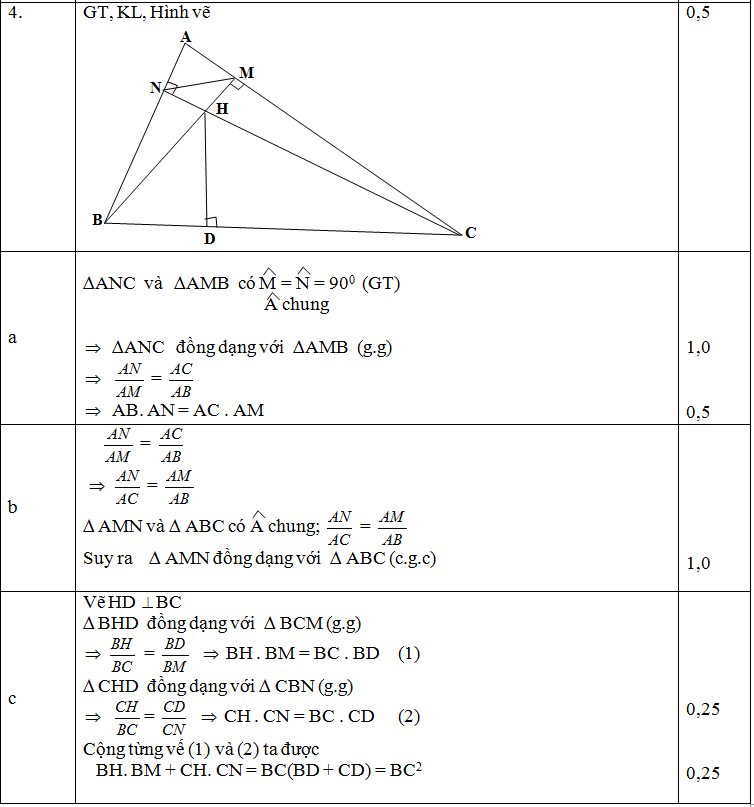 dapan_khaosatcahluongdaunamlop9_montoan_Cau4