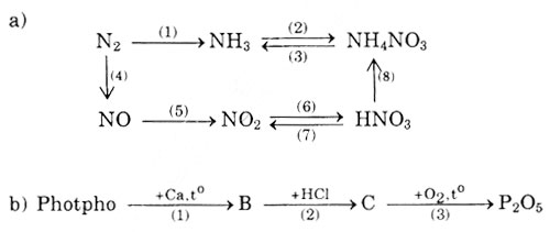 bai-5