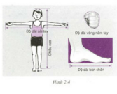 Bài C1 – C10 trang 9,10,11: Đo độ dài (Tiếp theo)