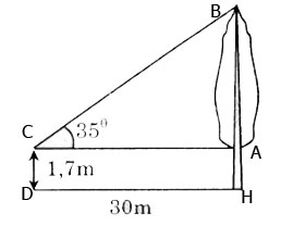 dap-an-bai-40