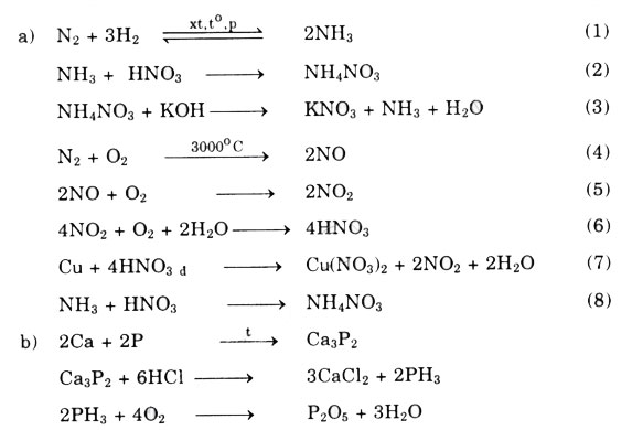 dap-an-bai-5