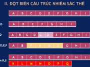 Nhiễm sắc thể và đột biến cấu trúc nhiễm sắc thể sinh 12: Bài 1,2,3,4,5 trang 26