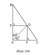 hinh 106