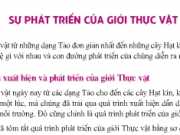 Bài 44 Sinh 6 Sự phát triển của giới Thực vật – Giải bài 1,2,3 trang 143