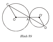 hinh89