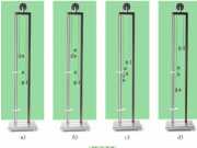 Sự cân bằng lực – quán tính (Bài C1- C8 trang 17,18 ,19,20 Lý lớp 8)