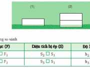 Bài C1, C2, C3 ,C4, C5 trang 25,26,27 vật lý 8: Áp suất