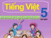Đề kiểm tra cuối kì 1 lớp 5 toán và Tiếng Việt có đáp án (năm 2015)