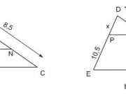 Giải bài 1,2,3 ,4,5 trang 58,59 SGK Toán 8 tập 2: Định lí Ta – lét trong tam giác