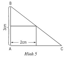 bai-49