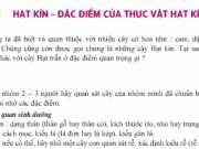 Bài 41 hạt kín – đặc điểm của thực vật hạt kín: Bài 1,2,3,4 trang 136 Sinh lớp 6