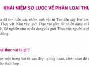 Bài 43 Khái niệm sơ lược về phân loại thực vật: Giải bài 1,2 trang 141 Sinh 6