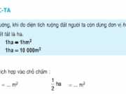 Giải bài tập 1,2,3,4 trang 30 Toán lớp 5: Luyện tập tiết 28