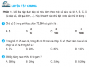 Bài tập 1,2,3,4 trang 89,90 Toán lớp 5: Luyện tập chung