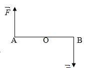 Đề kiểm tra 1 tiết chương 3 môn Lý 10: Cân bằng và chuyển động của vật rắn