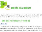 Sinh sản của vi sinh vật: Bài 1,2,3 trang 105 SGK Sinh 10