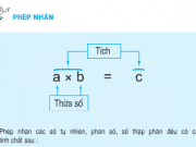 Giải bài 1,2,3,4 trang 162 Toán lớp 5: Phép nhân – Tiết 153