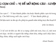 Dùng cụm chủ – vị để mở rộng câu trang 96 (3 bài)