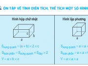 Giải bài 1,2,3, trang 168 môn toán lớp 5: Ôn tập tính diện tích thể tích một số hình