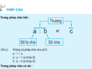 Bài 1,2,3,4 trang 163,164 môn Toán 5: Phép chia tiết 155