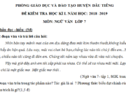 Bộ 2 đề thi học kì 1 môn Văn lớp 7 mới nhất năm 2018 2019 có lời giải