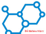 [Trắc nghiệm +Tự luận] Kiểm tra Hóa 8 học kì 1: Số phân tử của 16 gam khí oxi là?