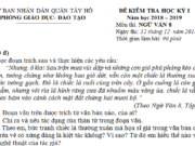 Đề kì 1 môn Văn lớp 8 Quận Tây Hồ có đáp án Kể lại một kỉ niệm về tình yêu thương