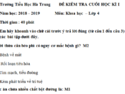 Kiểm tra kì 1 môn Khoa học lớp 4 có đáp án Vai trò của nước đối với sự sống là gì?