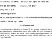 Thi học kì 1 môn Tiếng Việt lớp 5 có đáp án 2018 tả một người thân của em mà em yêu quý