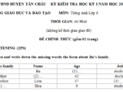 Thi học kì 1 lớp 6 môn Anh có đáp án năm 2018 How does Mary go to school every day