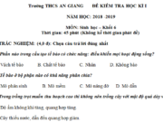 Thi kì 1 lớp 6 môn Sinh 2018 THCS An Giang Phân biệt rễ cọc và rễ chùm