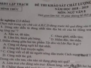 Thi học kì 1 môn Văn lớp 8 năm học 2018 – 2019 – Cảm nhận của em về nhân vật chị Dậu