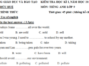 Khảo sát chất lượng kì 1 lớp 9 môn Anh 2018 có đáp án Đức Huệ