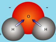 Kiểm tra 45 phút Chương 1 – Chất, Nguyên tử, Phân tử Hóa học 8: Hạt nhân nguyên tử cấu tạo bởi