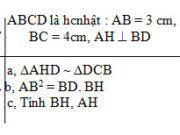 Đề Toán kì 2: Hai PT cùng nhận x= a làm nghiệm có tương đương với nhau không?