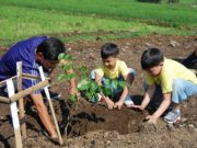 [Đề số 12] Đề kiểm tra học kì 1 – Tiếng Việt lớp 5: Tại sao nhiều người thấy việc làm của chú Trọng nhặt đá đắp thành là “điên”?