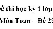 Đề kiểm tra học kì 1 Toán lớp 5 [Đề 29]: Hỏi phải trồng tất cả bao nhiêu cây?