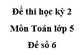 Đề 6 Thi học kì 2 môn Toán lớp 5: 2,5 ngày = … giờ?