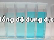 Đề kiểm tra 1 tiết Hóa 8 Chương 6 Dung dịch: Thể tích dung dịch axit cần dùng là?