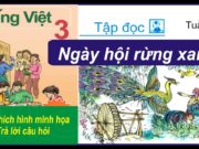 Kiểm tra học kì 2 – Tiếng Việt 3: Các con vật trong bài “Ngày hội rừng xanh” được nhân hoá bằng cách nào?