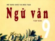 Đề kiểm tra học kì 2 Ngữ văn 9: Cảm nhận của em về hình tượng con cò trong văn học và đậm nét trong bài thơ Con cò của Chế Lan Viên