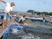 Thi học kì 2 Địa lí 9: Kể tên trung tâm chính trị của tỉnh (thành phố) em