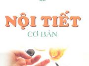 Đề kiểm tra 1 tiết Chương 10 Sinh 8 Nội tiết: So sánh tuyến nội tiết và tuyến ngoại tiết