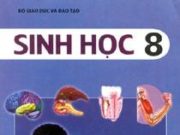 Đề thi học kì 2 Sinh học 8: Số buồng trứng trong mỗi cơ thể nữ là?