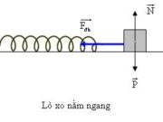 Thi học kì 2 Vật lí 8: Thế năng hấp dẫn của một vật phụ thuộc vào những yếu tố nào?