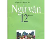 Thi học kì 2 Ngữ văn 12: Xác định các thao tác lập luận được sử dụng trong văn bản  