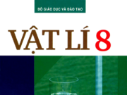 Thi cuối học kì 2 môn Vật lý 8 của THCS Mao Khê I: Đối lưu là hình thức truyền nhiệt xảy ra trong chất nào?