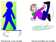 Bài 6.9, 6.10, 6,11 trang 21, 22 SBT Vật Lý 8: Lực ma sát nghỉ tác dụng lên vật khi đó có…