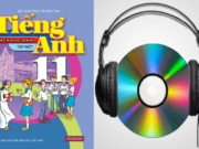 Unit 5. Being Part Of Asean: Giải bài Vocabulary – Phần từ vựng SGK Tiếng Anh 11 Thí điểm